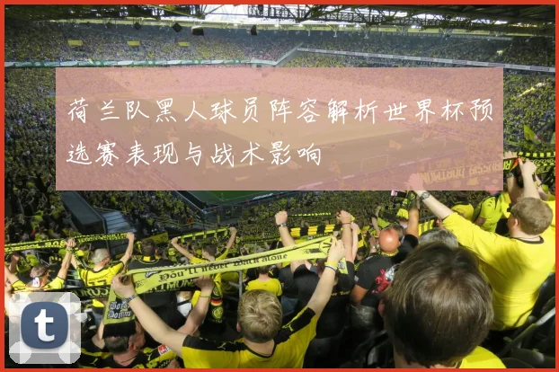 荷兰队黑人球员阵容解析世界杯预选赛表现与战术影响