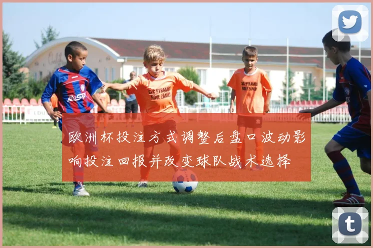 欧洲杯投注方式调整后盘口波动影响投注回报并改变球队战术选择