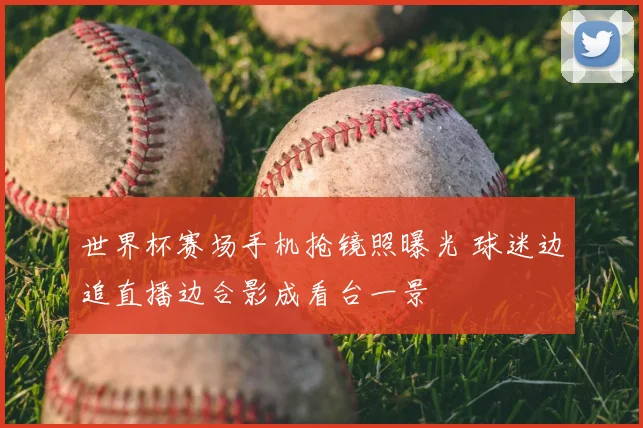 世界杯赛场手机抢镜照曝光 球迷边追直播边合影成看台一景