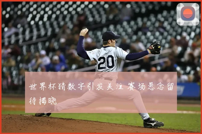 世界杯猜数字引发关注 赛场悬念留待揭晓