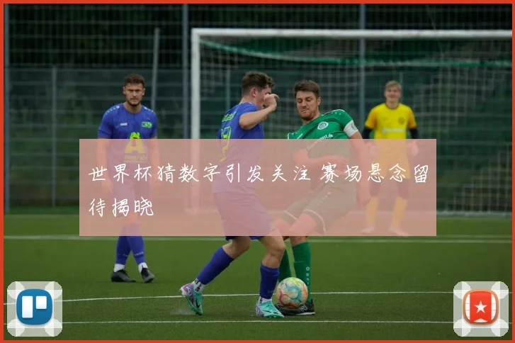 世界杯猜数字引发关注 赛场悬念留待揭晓