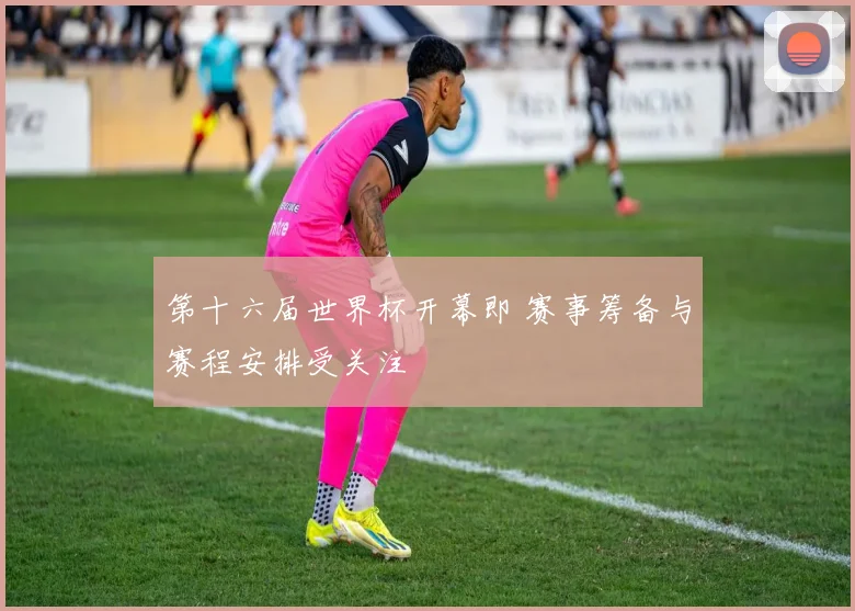 第十六届世界杯开幕即 赛事筹备与赛程安排受关注