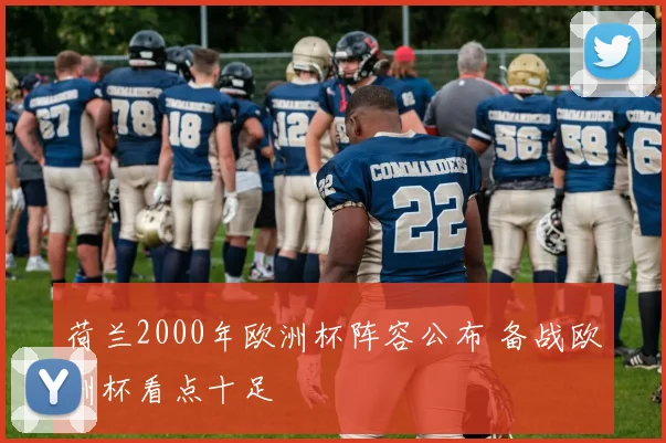 荷兰2000年欧洲杯阵容公布 备战欧洲杯看点十足